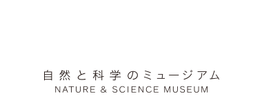 自然と化学のミュージアム NATURE & SCIENCE MESEUM