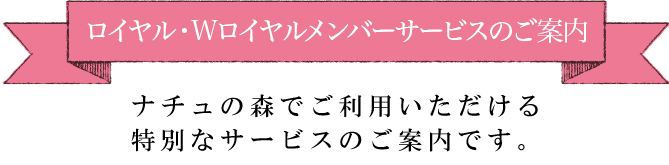ナチュラルな商品画像